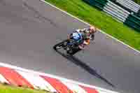 Vintage-motorcycle-club;eventdigitalimages;mallory-park;mallory-park-trackday-photographs;no-limits-trackdays;peter-wileman-photography;trackday-digital-images;trackday-photos;vmcc-festival-1000-bikes-photographs